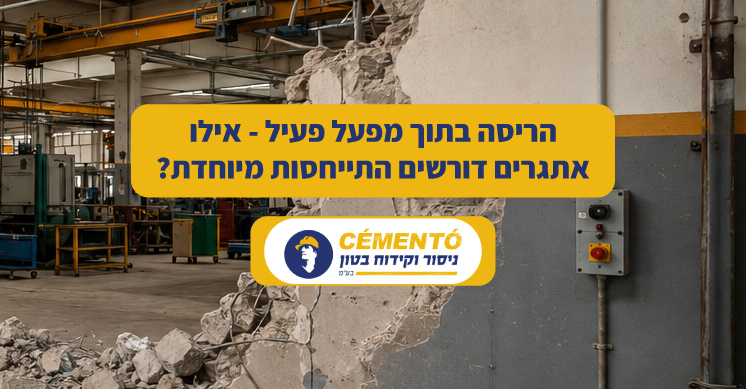 הריסה בתוך מפעל פעיל - אילו אתגרים דורשים התייחסות מיוחדת הריסה בתוך מפעל פעיל - אילו אתגרים דורשים התייחסות מיוחדת